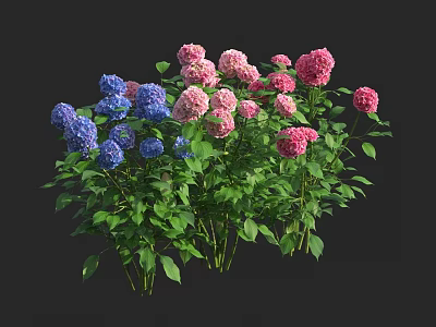 Colorful Shrub With Pink And Blue Flowers And Green Leaves 3d model