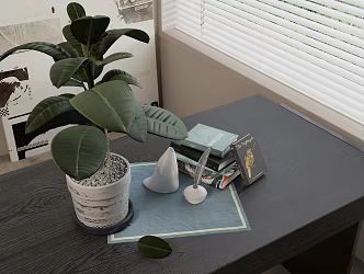 Decorations Decorative Ornaments Books Ornaments Potted Plant 3d model