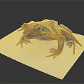 Brown Spotted Frog Sitting On White Tissue With Detailed Limbs And Eyes