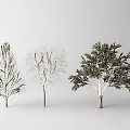 Three Arbor Trees With Varied Branch Structures And Foliage States 3d model