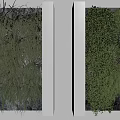 Indoor Living Plant Wall Design With Various Green Plant Species And White Frames