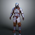 Medieval Weapon Armor Featuring Scaled Metal Plates And Leather Accents