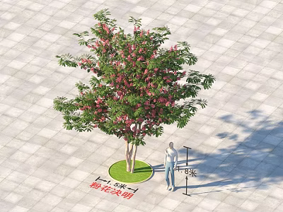 Red Flower Locust Tree with Pink Flowers on Green Lawn Near Person and Street Lamp 3d model