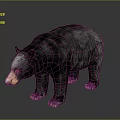 Gray Bear Realistic 3D Model Standing Pose With Detailed Fur Texture