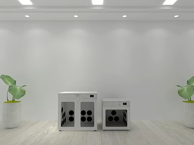 White Appliances On Wooden Floor With Green Plants White Walls And Ceiling Lights 3d model