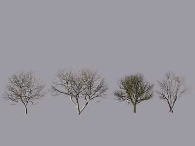 Different Form Arbor Trees With Sparse Foliage And Bare Branches For Landscaping 3d model