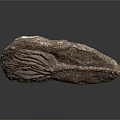 Fossilized Crinoid Specimen With Detailed Segmented Stem And Feathery Arms Embedded In Sedimentary Rock Matrix