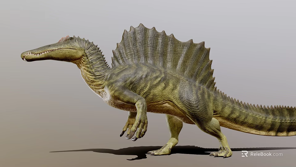 Realistic 3D Spinosaurus Dinosaur Model With Sailback And Green Yellow Skin 3d model 