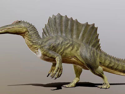 Realistic 3D Spinosaurus Dinosaur Model With Sailback And Green Yellow Skin 3d model