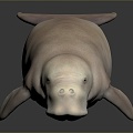 Manatee Beautiful Manatee Sea Animal Fish Freshwater Fish Sea Fish Animal Game Animal Cartoon Animal 3d model