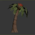 Lush Tropical Plant With Green Leaves Red Flower And Brown Trunk Structure