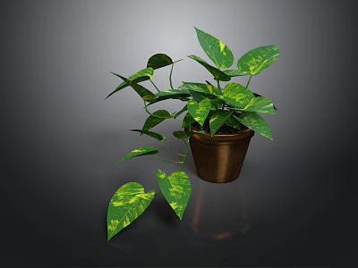 Lush Green Plant With Variegated Leaves And Trailing Vines In Brown Pot 3d model