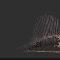 Prehistoric Reptile Fossil Skeleton with Long Spines and Skeletal Structure