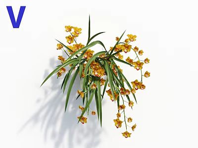 Indoor Yellow Decorative Flowers With Hanging Blooms And Long Green Leaves 3d model
