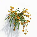 Indoor Yellow Decorative Flowers With Hanging Blooms And Long Green Leaves