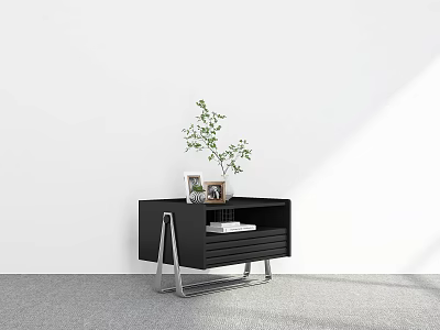 Modern Black Side Table With Green Plant Photo Frame And Books On Gray Floor 3d model