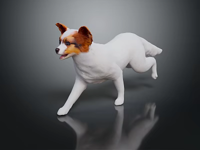 White and Brown Dog Running with Reflection in Dark Studio Background 3d model