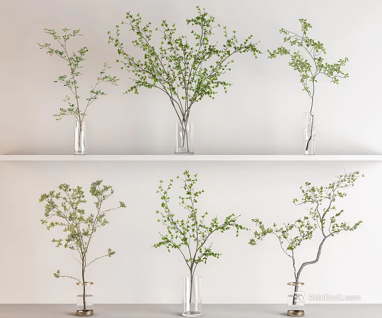 Elegant Glass Vases With Green Leafy Branches Arranged On White Shelf 3d model 