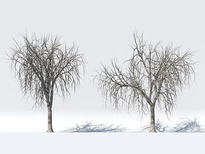 Wooden Leafless Trees With Bare Branches And Shadows On White Background 3d model