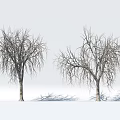 Wooden Leafless Trees With Bare Branches And Shadows On White Background 3d model