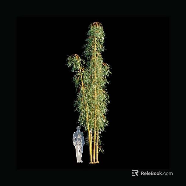 Lush Tall Bamboo Stalks Standing Next to Human Figure for Scale 3d model 