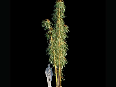 Lush Tall Bamboo Stalks Standing Next to Human Figure for Scale 3d model