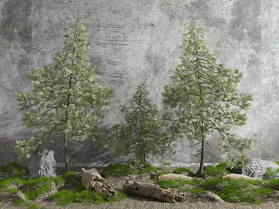 Evergreen Arbor Trees Against Gray Textured Wall with Green Grass Stones and Driftwood 3d model