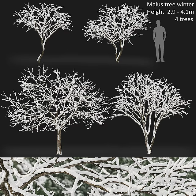 Ornamental Garden Decorative Trees with White Branches in Snowy Outdoor Landscape 3d model 