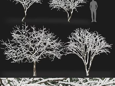 Ornamental Garden Decorative Trees with White Branches in Snowy Outdoor Landscape 3d model