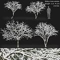 Ornamental Garden Decorative Trees with White Branches in Snowy Outdoor Landscape