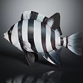Black and White Striped Fish Lifelike Model with Detailed Fins and Artistic Design