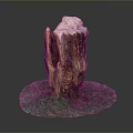 Natural Green Grass Plant Growing Around Weathered Wooden Stump On Circular Base
