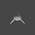 Realistic Great White Shark 3D Model Swimming Against Blue Background With Detailed Features