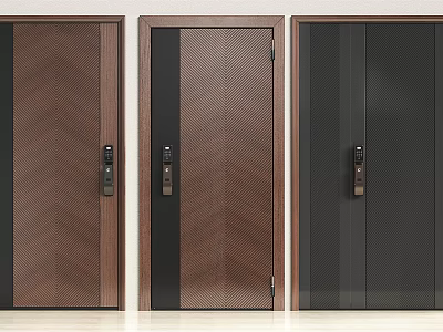 Modern Security Doors With Textured Surfaces Secure Locks And Three Designs For Home Safety 3d model