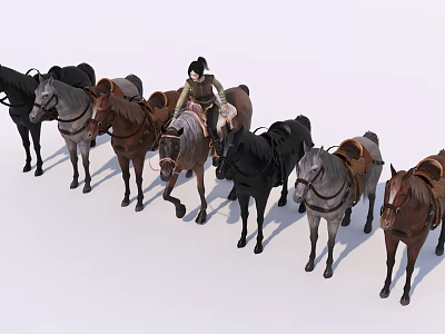 Rider On Horse Leading Group Of Various Colored Horses With Traditional Saddle 3d model