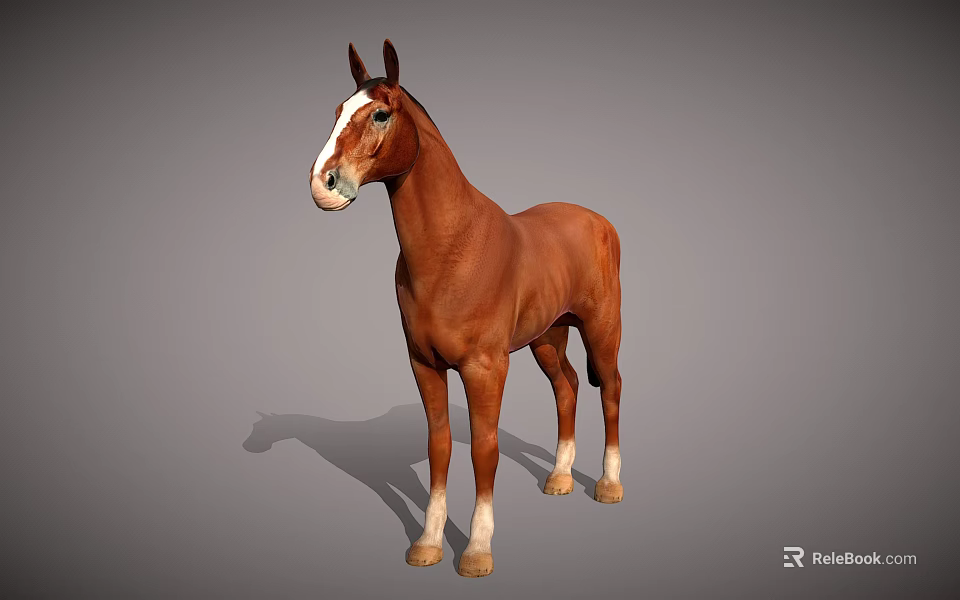 Brown Horse With White Face And Legs Standing On Neutral Gray Background 3d model 