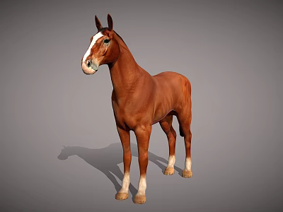 Brown Horse With White Face And Legs Standing On Neutral Gray Background 3d model