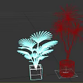 Fan Palm And Leafy House Plants In Black Square Gray Round Pots On White Background