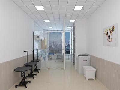 Pet Grooming Shop in Mall With White Walls Ceiling Lights Waiting Chairs Pet Painting And Glass Door City View 3d model