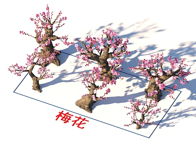 Blooming Ornamental Plum Blossom Trees with Pink Flowers and Graceful Branches 3d model
