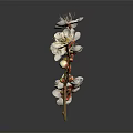 Blooming Dainty White Flowers and Vibrant Orange Buds on Graceful Green Flower Branch