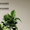 Designer Indoor Space with Lush Green Plants and Modern Furniture Arrangement