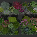 Various Garden Plants Mixed Flowers With Pink Purple Blooms And Stones