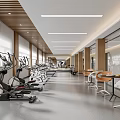 Spacious Gym Interior With Various Fitness Equipment 3d model