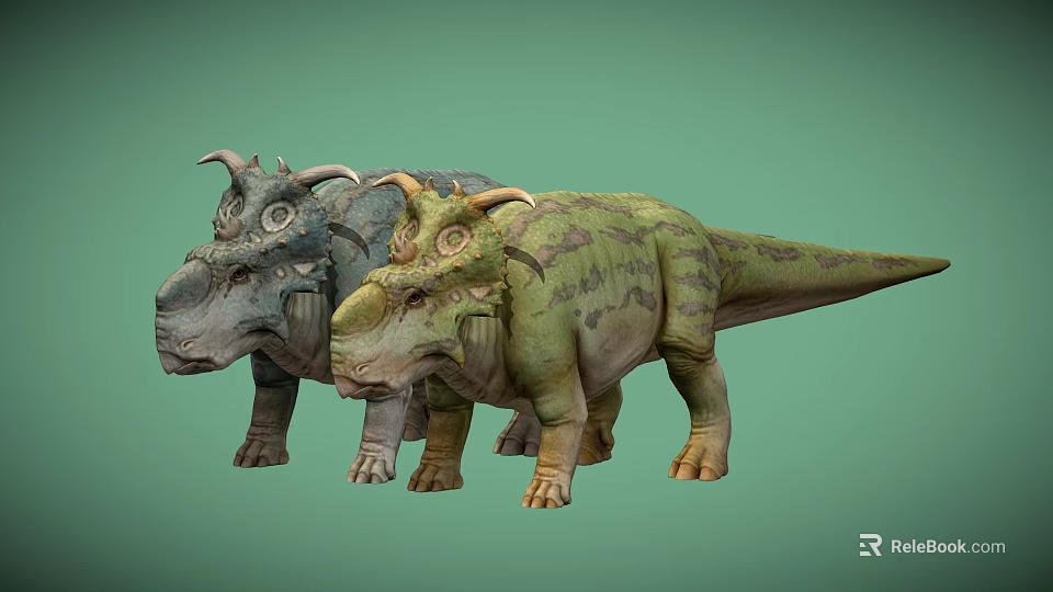 Realistic Triceratops Dinosaur Models With Green And Gray Textures On Light Green Background 3d model 