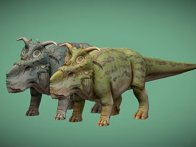 Realistic Triceratops Dinosaur Models With Green And Gray Textures On Light Green Background 3d model
