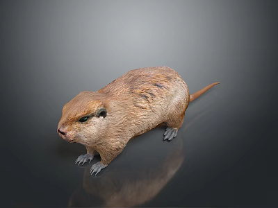 Brown Reptile With Scaly Skin Long Tail Standing On Gray Background 3d model