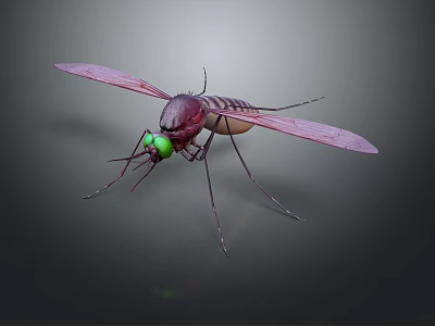 Close Up View Of Flying Mosquito With Purple Wings Green Eyes And Brown Striped Body 3d model
