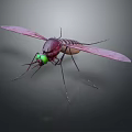 Close Up View Of Flying Mosquito With Purple Wings Green Eyes And Brown Striped Body
