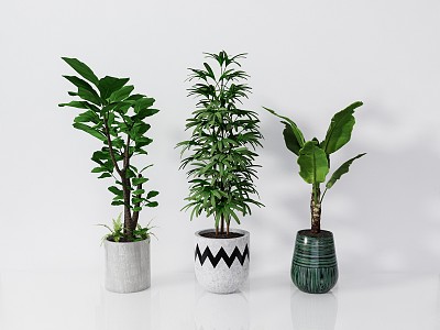 modern potted plant green plant potted plant 3d model